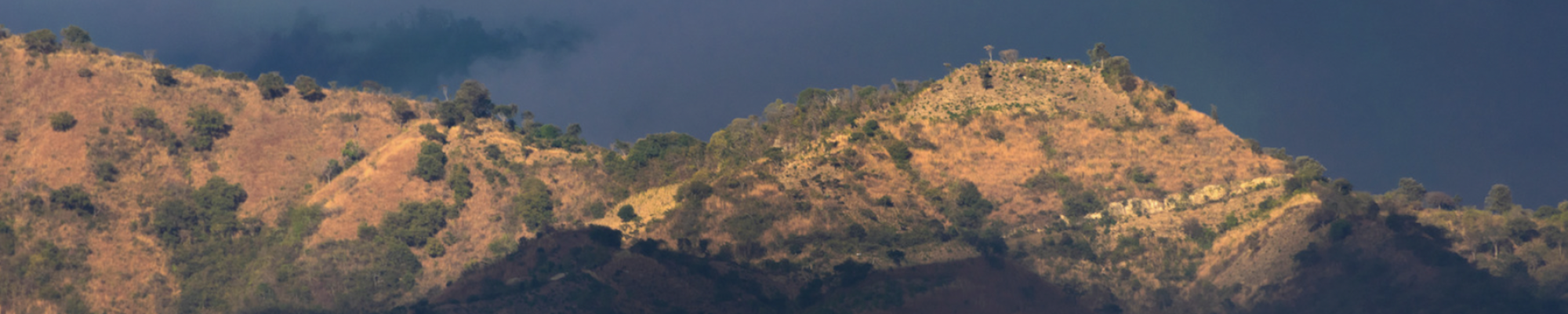 Captura de Pantalla 2022-07-14 a la(s) 12.49.42